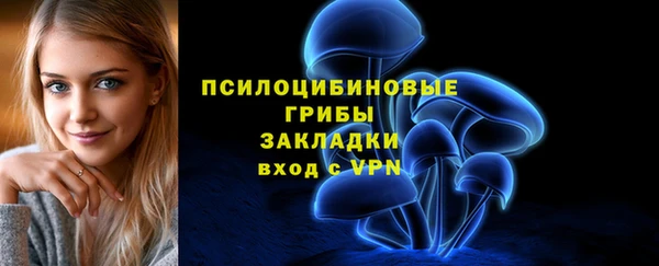 ГАЛЛЮЦИНОГЕННЫЕ ГРИБЫ Абдулино