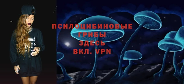 ГАЛЛЮЦИНОГЕННЫЕ ГРИБЫ Абдулино