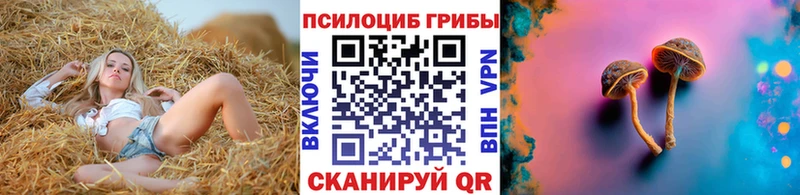 Псилоцибиновые грибы GOLDEN TEACHER  Брюховецкая 